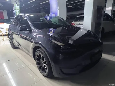 2024 Tesla Model Y Rear-Wheel Drive Version, фото 4, лот 11062258