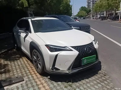 2020 Lexus UX 260h Explore Enjoy Edition, фото 4, лот 10320224