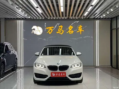 2018 BMW 2 Series (Import) 220i Convertible Coupe Sport Design Package, фото 2, лот 10471363