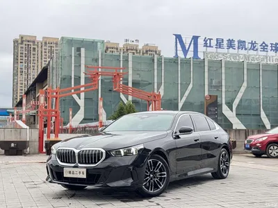 2026 BMW 5 Series 530Li Leading M Sport Package, фото 1, лот 11450684