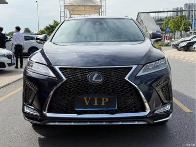 2020 Lexus RX 300 AWD F SPORT (China VI), фото 3, лот 10314844