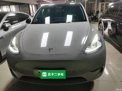 2022 Tesla Model Y Rear-Wheel Drive Version, фото 3, лот 10455618