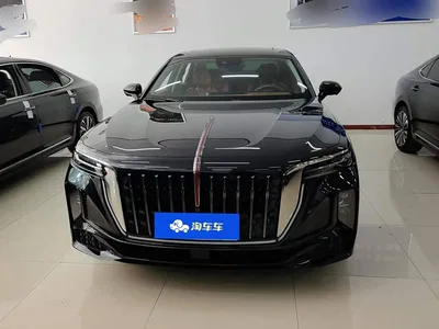 2024 Hongqi H9 2.0T Qi Enjoy Private Fashion Edition, фото 2, лот 10415857