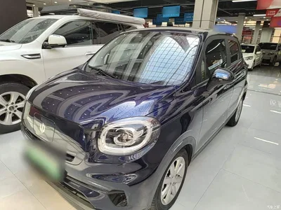 2022 Leapmotor T03 Crystal Shine Edition, фото 2, лот 10441934