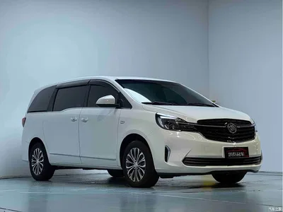 2021 Buick GL8 Land Business Class 652T Smart Luxury, фото 4, лот 10804583