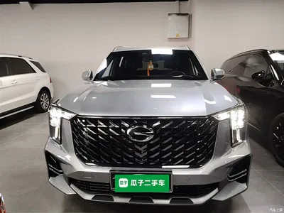 2022 GAC Trumpchi Trumpchi GS8 Pilot Series 2.0TGDI 2WD Premium Edition (7-Seater), фото 3, лот 10425361