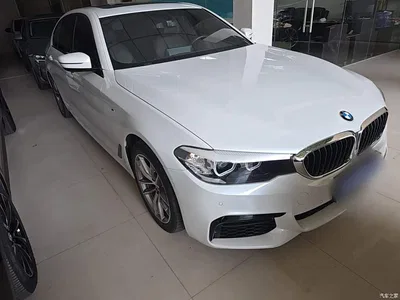2019 BMW 5 Series 525Li M Sport Package, фото 4, лот 10689535