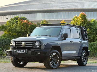 2025 Tank 300 New Energy Hi4-T 36.7kWh Edition, фото 1, лот 10808135