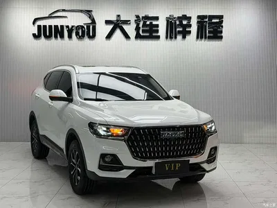 2023 Haval H6 National Trend Edition 1.5T Automatic Urban, фото 3, лот 10282214