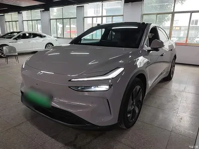 2024 Ledao L60 60kWh Rear-Wheel Drive, фото 1, лот 11002485