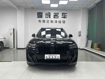 2022 BMW X3 xDrive25i M Sport Package, фото 2, лот 10461329