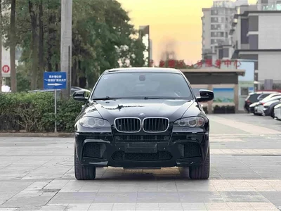 2010 BMW X6 M, фото 2, лот 10477185
