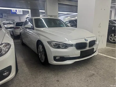 2017 BMW 3 Series 320Li Fashion, фото 3, лот 10457176