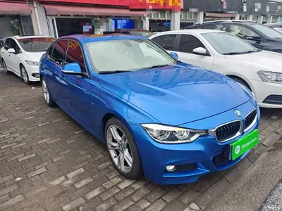 2019 BMW 3 Series 320Li M Sport Package, фото 4, лот 10458104