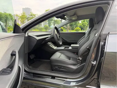 2025 Tesla Model 3 Model Rear-Wheel Drive Edition, фото 4, лот 10346143