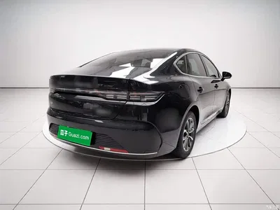 2024 BYD Destroyer 05 Glory Edition DM-i 55KM Luxury, фото 4, лот 10680254