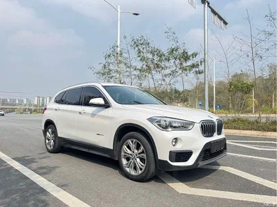 2018 BMW X1 sDrive20Li Leading Model, фото 2, лот 10466471