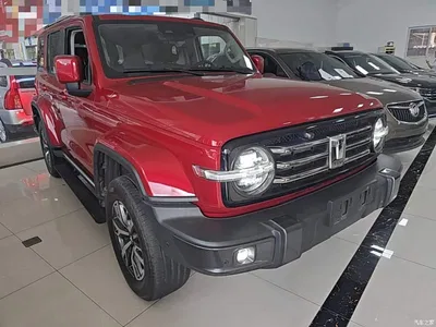2023 Tank 300 Urban Edition 2.0T Very Stylish, фото 4, лот 10345474