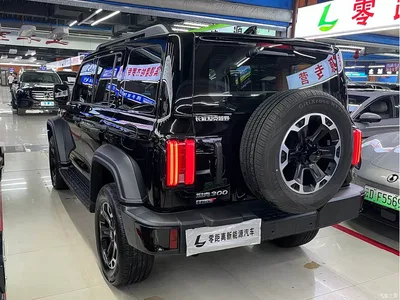 2025 Tank 300 New Energy Hi4-T 36.7kWh Edition, фото 4, лот 10344912