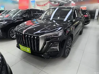 2023 Hongqi HS5 2.0T AWD Flag Enjoy Pro Edition, фото 2, лот 10289938
