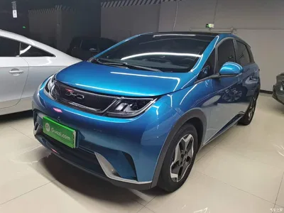 2021 BYD Dolphin Model 405km Fashion Edition, фото 1, лот 10264148