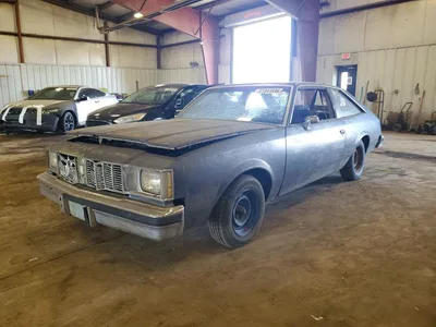 1980 OLDSMOBILE CUTLASS FASTBACK, фото 1, лот 10968289