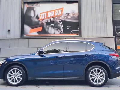 2017 Alfa Romeo Stelvio 2.0T 200HP Luxury Edition, фото 3, лот 10239866