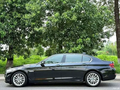 2014 BMW 5 Series 525Li Luxury Design Package, фото 2, лот 11074168