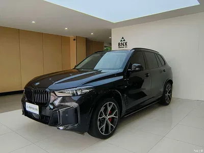 2023 BMW X5 xDrive 30Li Premium M Sport Black Night Package, фото 1, лот 10463249