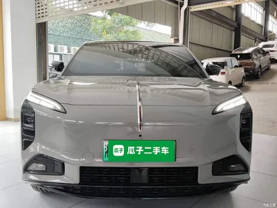 2025 Hongqi Tian Gong 08 730 Max RWD, фото 3, лот 10482284