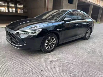 2023 BYD Qin PLUS Champion Edition DM-i 55KM Surpassing, фото 1, лот 10679762