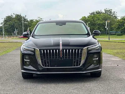 2025 Hongqi H5 2.0T Automatic Flag Celebration 500,000 Units Anniversary Edition, фото 2, лот 10392489