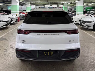 2024 BYD Song Pro New Energy Glory Edition DM-i 71KM Pilot, фото 4, лот 10769467