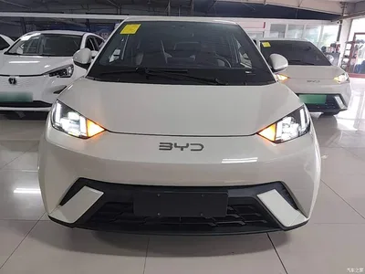 2023 BYD Seagull Flying Edition, фото 3, лот 10263001