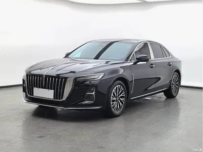 2024 Hongqi H5 2.0T Automatic Smart Connect Flag Smooth Edition, фото 1, лот 11225116