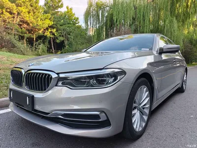 2020 BMW 5 Series New Energy 530Le Luxury Package, фото 2, лот 10584960