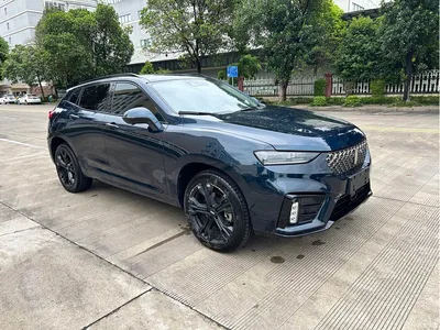 2020 WEY VV7 Model 2.0T Flagship, фото 1, лот 10399608