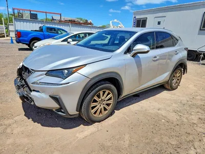 2019 LEXUS NX 300 BASE, фото 1, лот 10901122