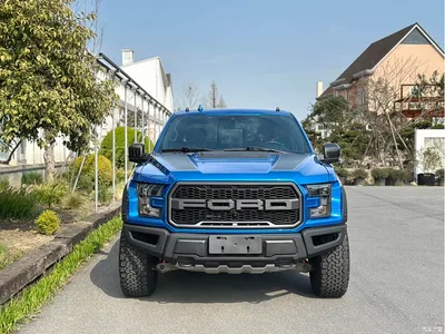 2019 Ford F-150 Raptor 3.5T Raptor Performance Enhanced Edition, фото 4, лот 10298290