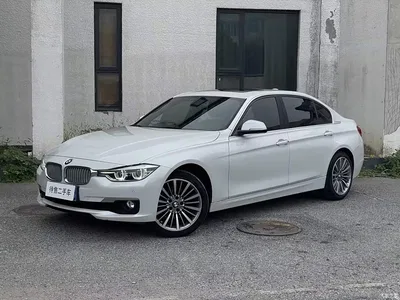 2019 BMW 3 Series 320Li Fashion Type, фото 1, лот 10684577