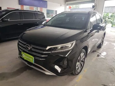 2020 GAC Trumpchi Trumpchi GS4 270T Automatic Smart Connect Tech Version, фото 1, лот 10426189