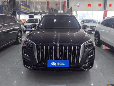 2023 Hongqi HS5 2.0T Flag Enjoy Pro Edition, фото 2, лот 11493841