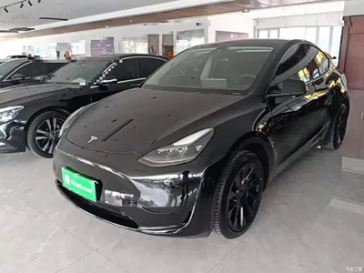 2022 Tesla Model Y Facelift Rear-Wheel Drive Version, фото 2, лот 10376900