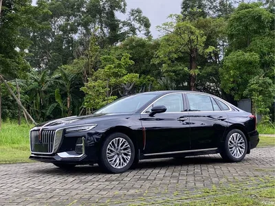 2024 Hongqi H5 2.0T Automatic Smart Connect Flag Smooth Edition, фото 1, лот 10288169