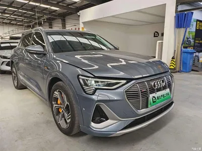 2021 Audi e-tron 50 quattro Exclusive Selection, фото 3, лот 10399974
