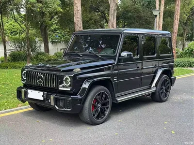 2017 Mercedes G Klasse, фото 2, лот 10246692
