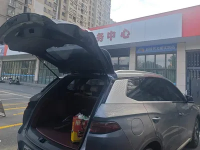 2024 BYD Song Pro New Energy Glory Edition DM-i 71KM Pilot, фото 4, лот 11550006
