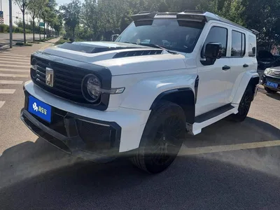 2021 Tank 300 Off-road Edition 2.0T Challenger, фото 1, лот 10357327