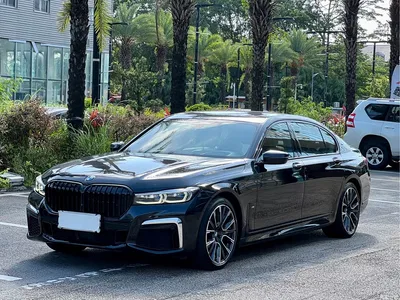 2019 BMW 7 Series 750Li xDrive V8 M Sport Package, фото 1, лот 10459005