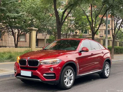 2017 BMW X6 xDrive35i Leading, фото 1, лот 11136810